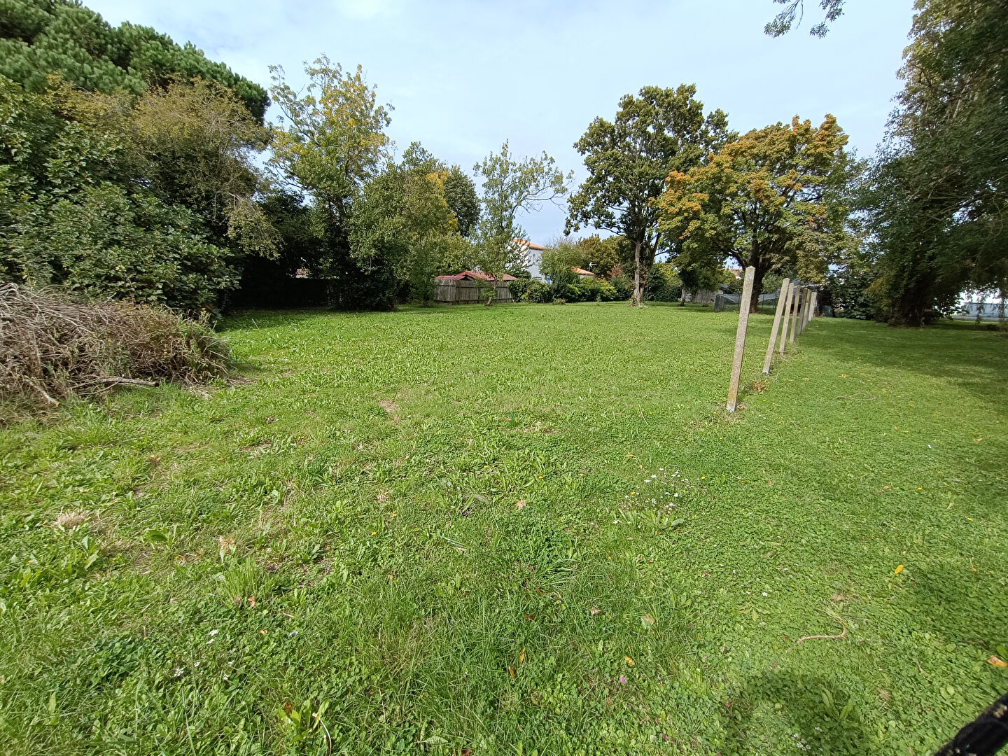 Terrain BOURCEFRANC LE CHAPUS (17560) 1645.00 m²