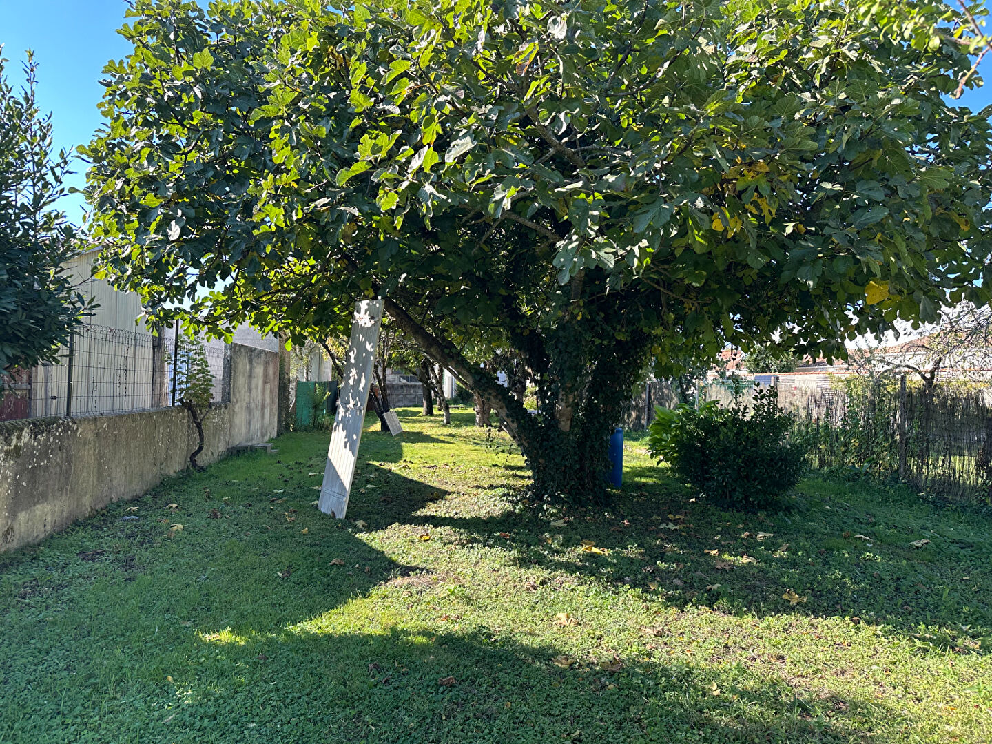 Terrain ROCHEFORT (17300) 504.00 m²