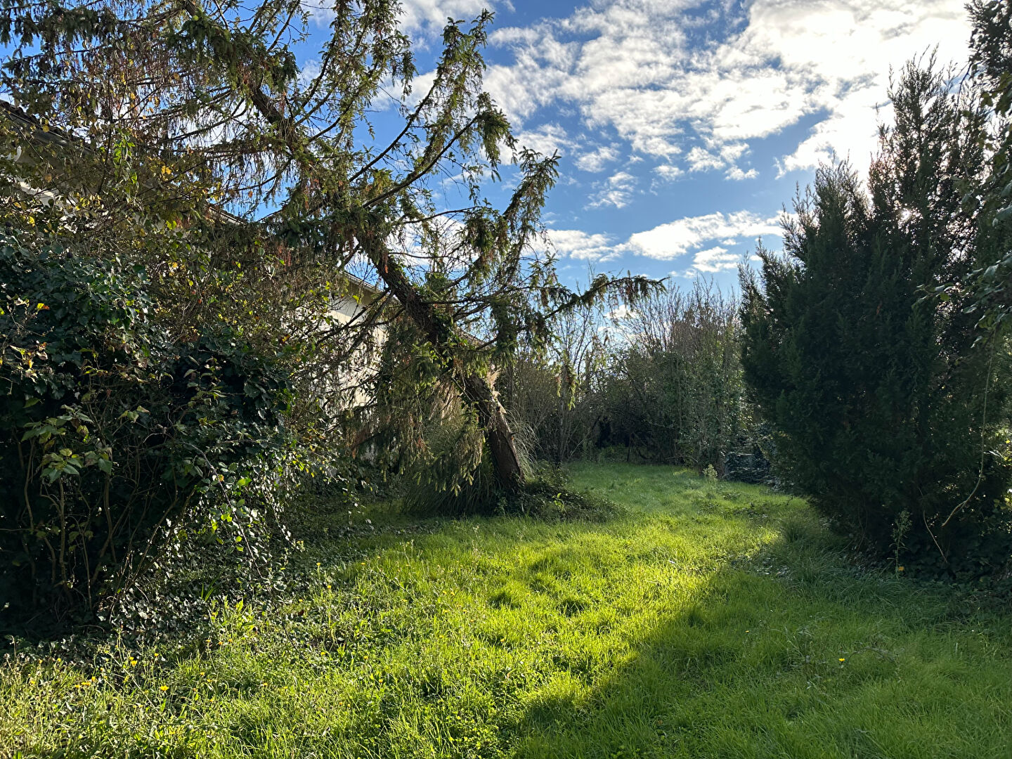 Terrain ROCHEFORT (17300) 467.00 m²