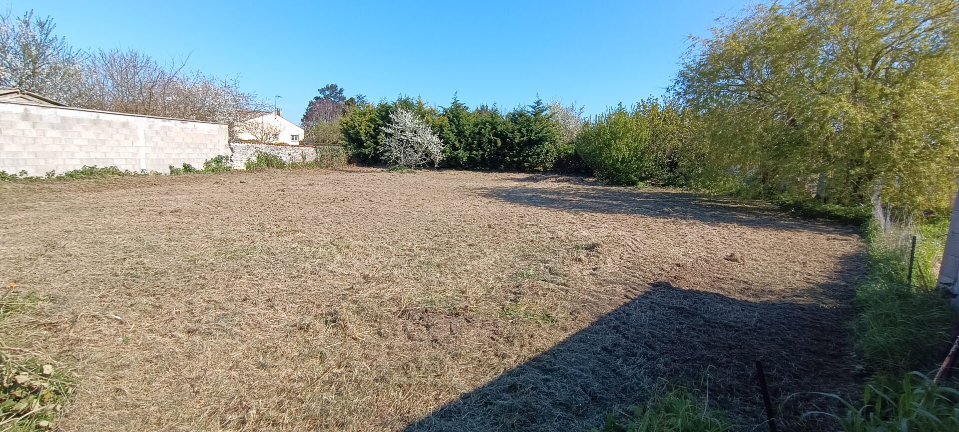 Terrain MOEZE (17780) 747.00 m&sup2;