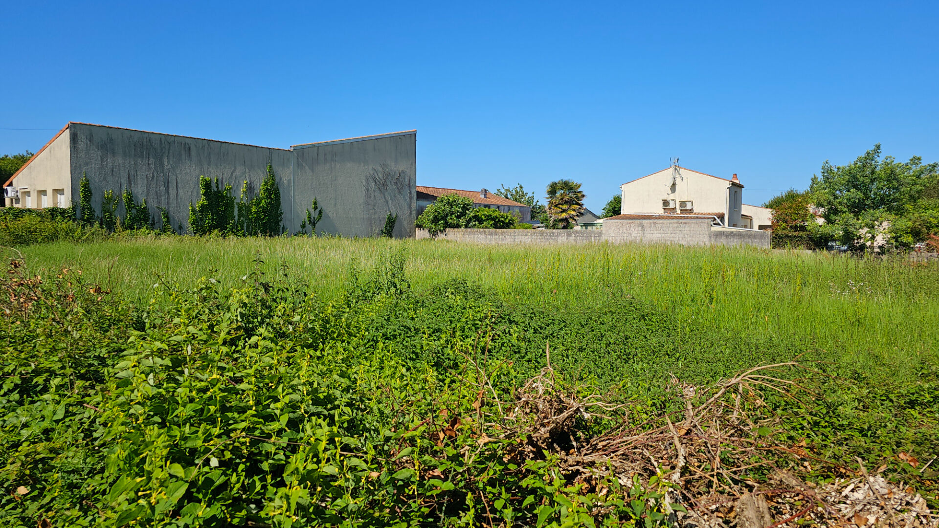 Terrain SAINT FROULT (17780) 1499.00 m&sup2;