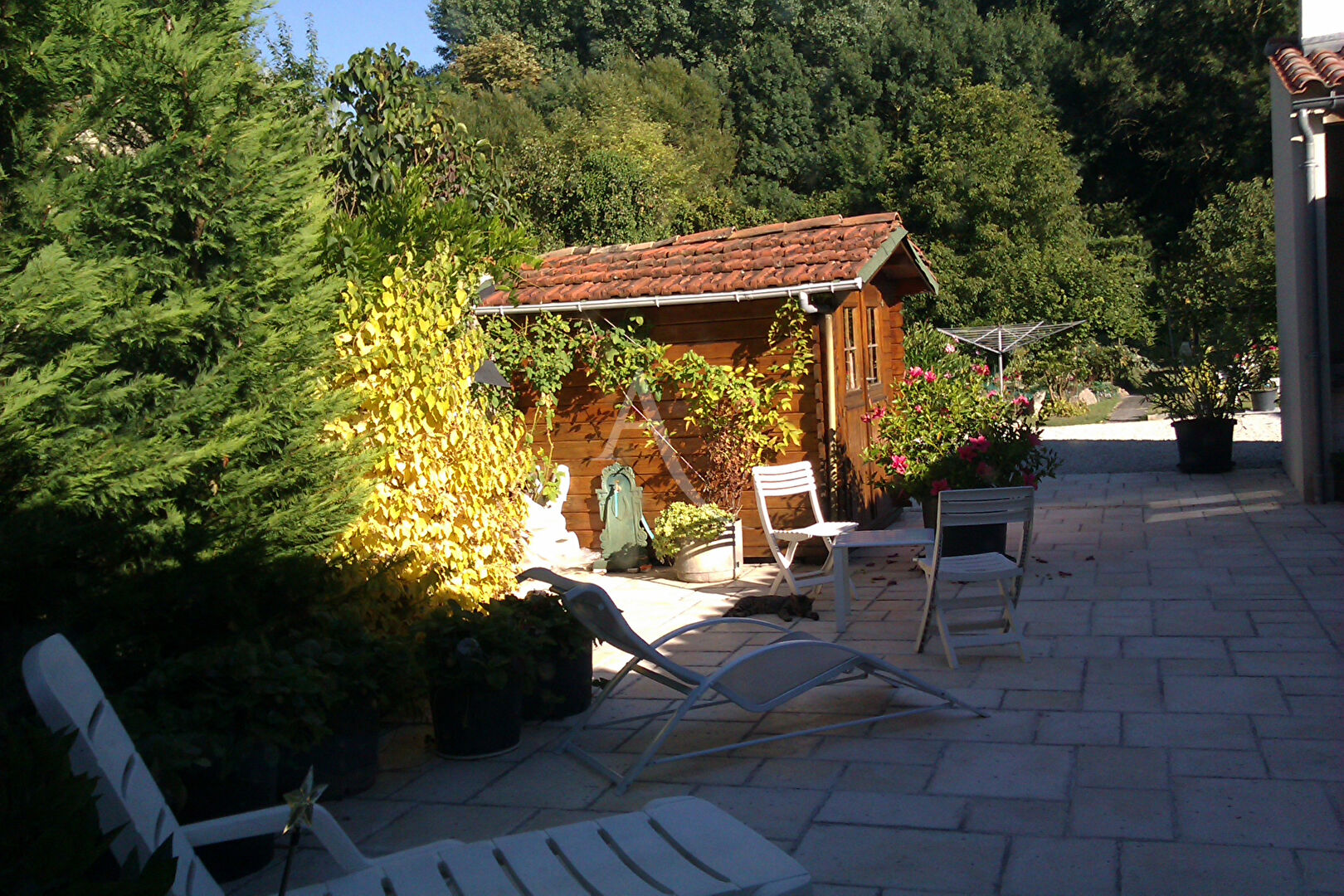 Maison SAINT JEAN D ANGELY (17400) 6 pièces 275.00 m²