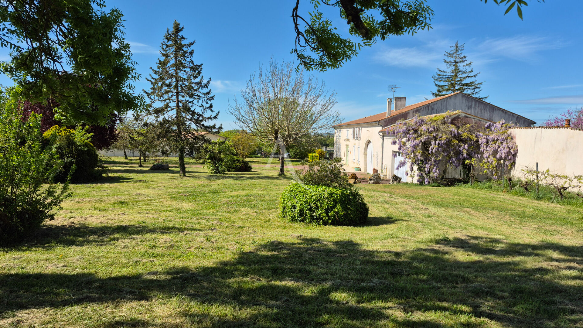 Maison JARNAC CHAMPAGNE (17520) 5 pièces 176.00 m²