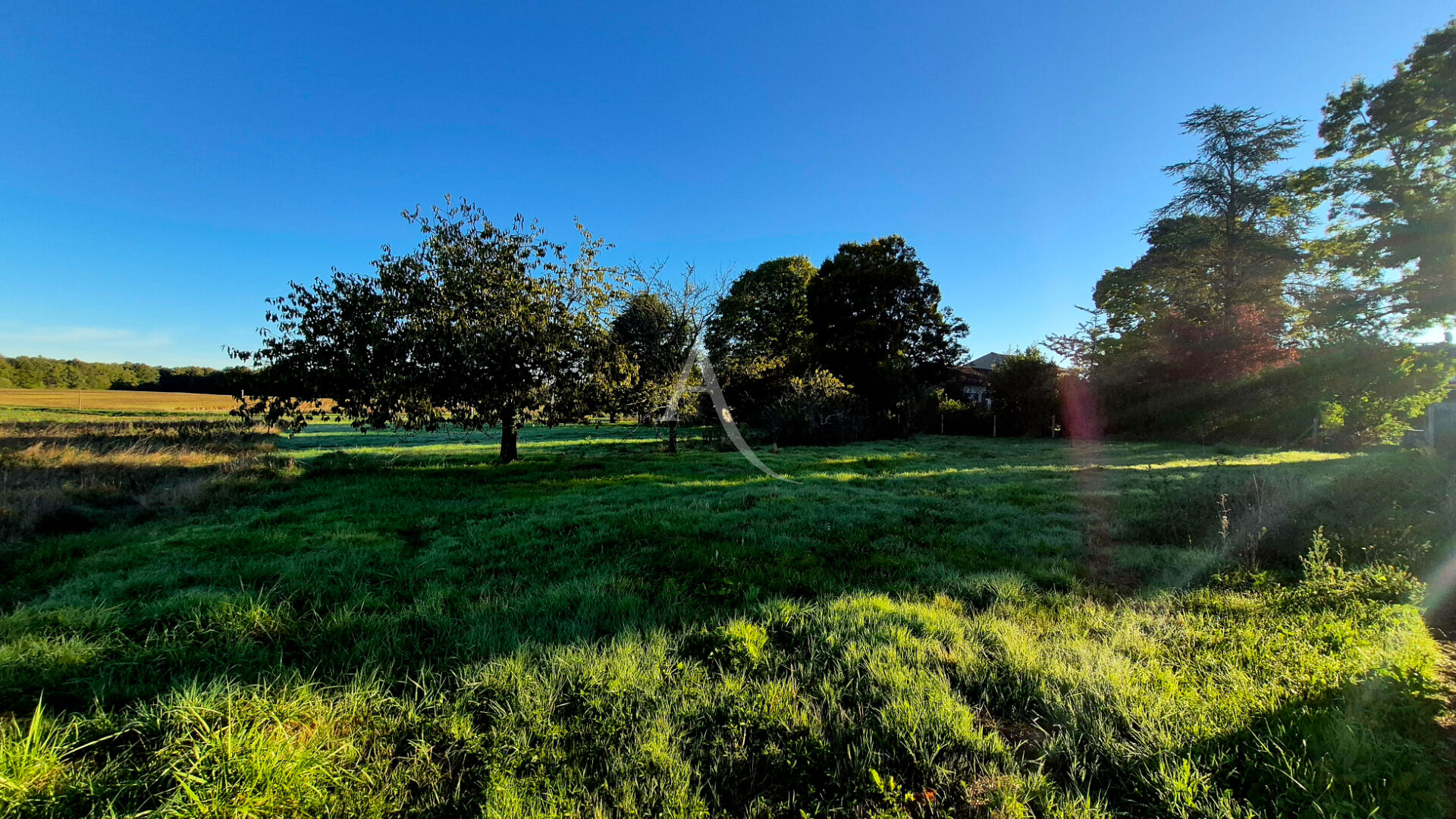 Terrain ECOYEUX (17770) 3140.00 m²