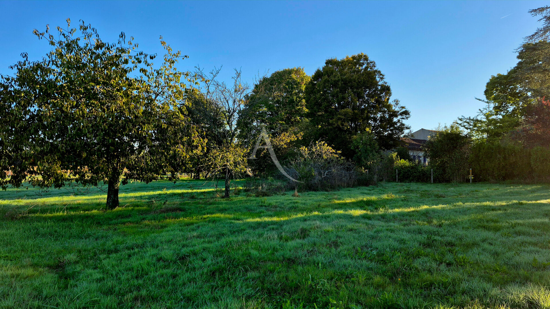 Terrain ECOYEUX (17770) 3140.00 m&sup2;