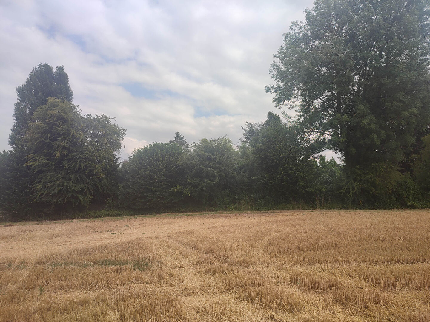 Terrain SERAINCOURT (95450) 1003.00 m&sup2;