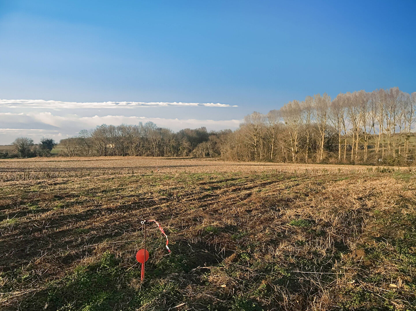 Terrain CHAMPAGNE (17620) 989.00 m²