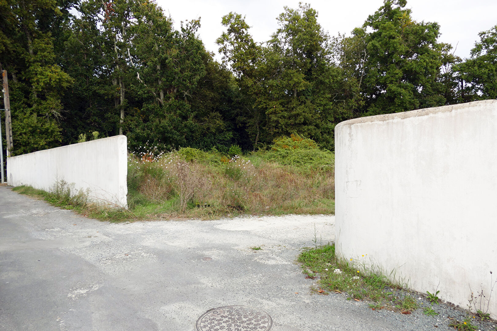 Terrain ROYAN (17200) 634.00 m²