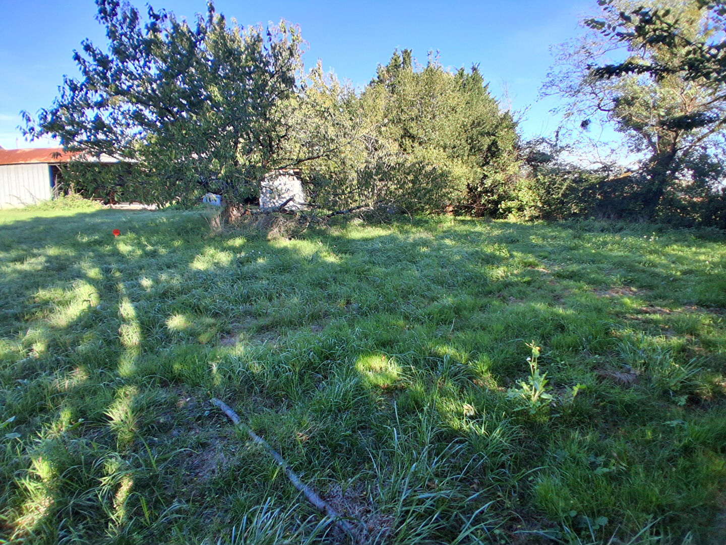 Terrain LA GRIPPERIE saint SYMPHORIEN (17620) 1086.00 m²