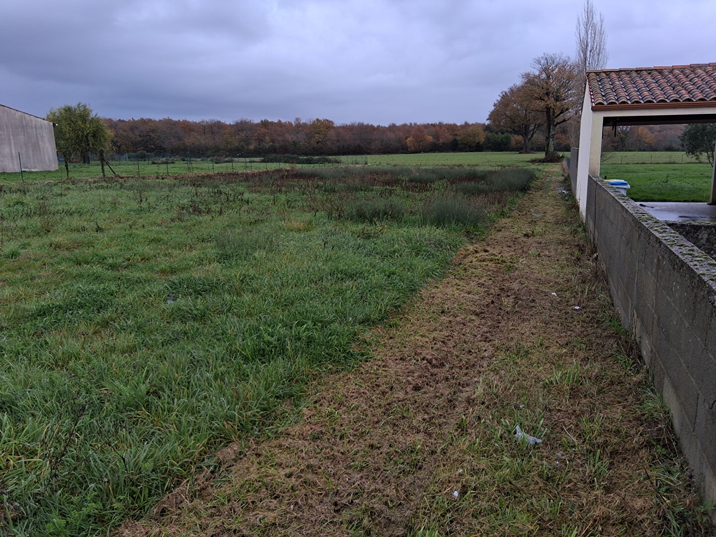 Terrain SAINT JEAN D ANGLE (17620) 1573.00 m²