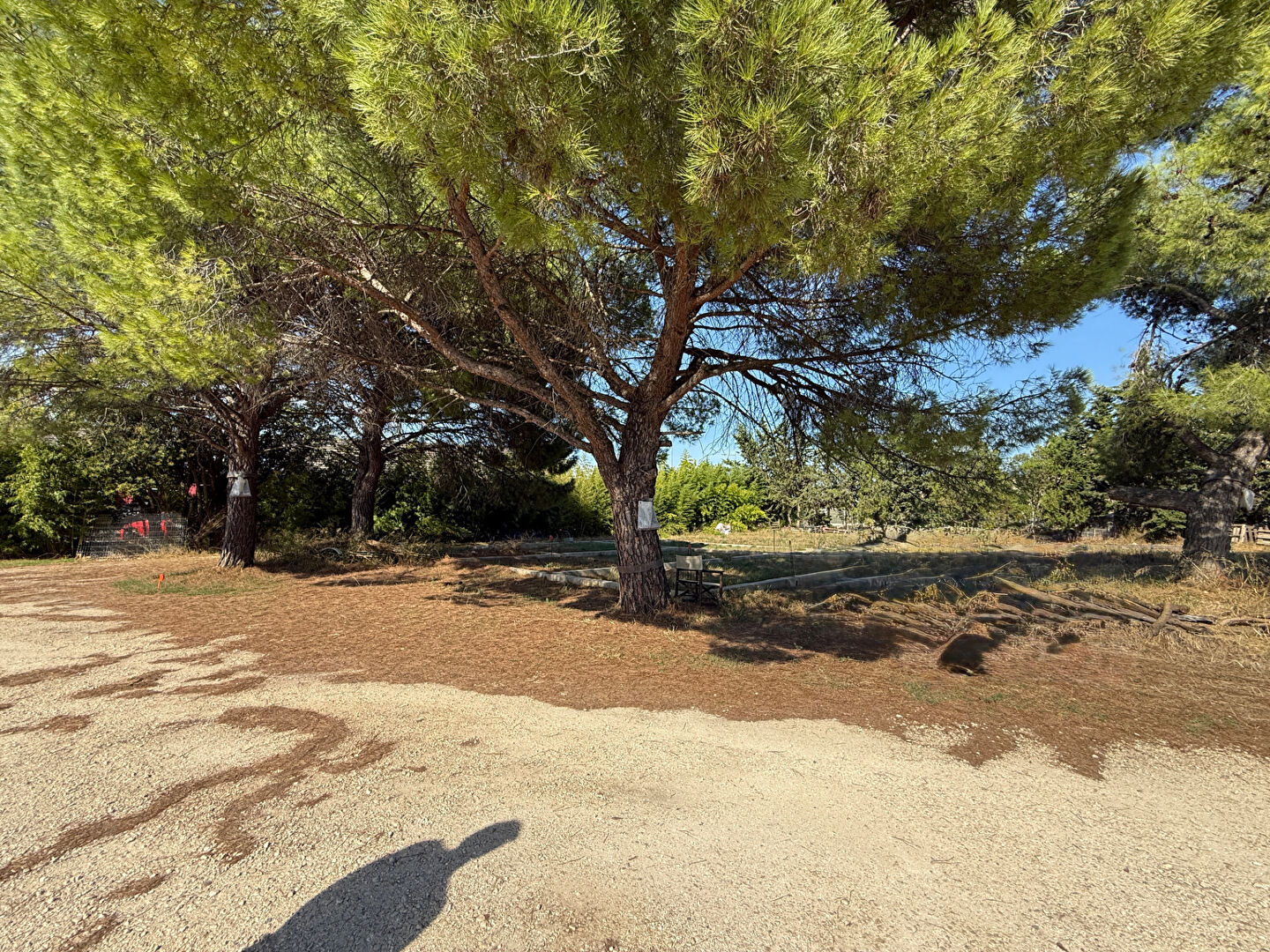 Terrain VAUVERT (30600) 1001.00 m&sup2;