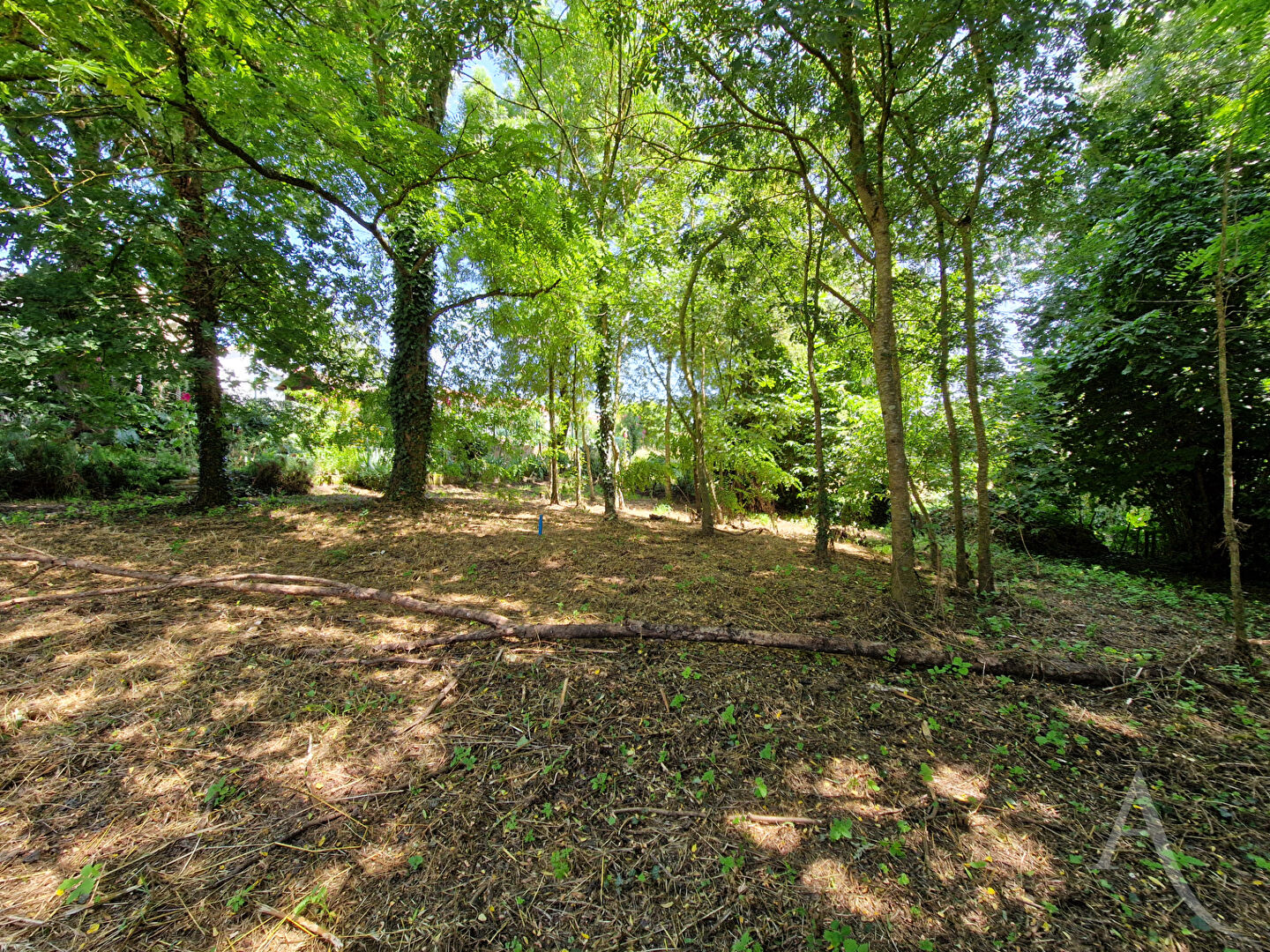 Terrain SAINT PHILBERT DE BOUAINE (85660) 482.00 m²