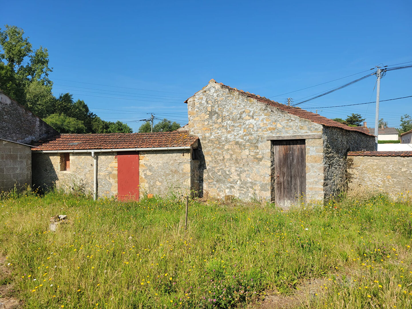 Maison BEAUFOU (85170) 1 pièce 51.00 m²