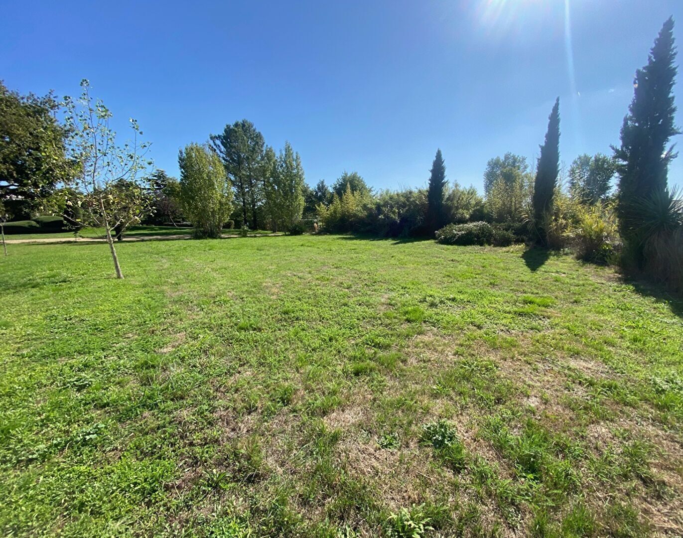 Terrain MONTAIGU VENDEE (85600) 710.00 m²
