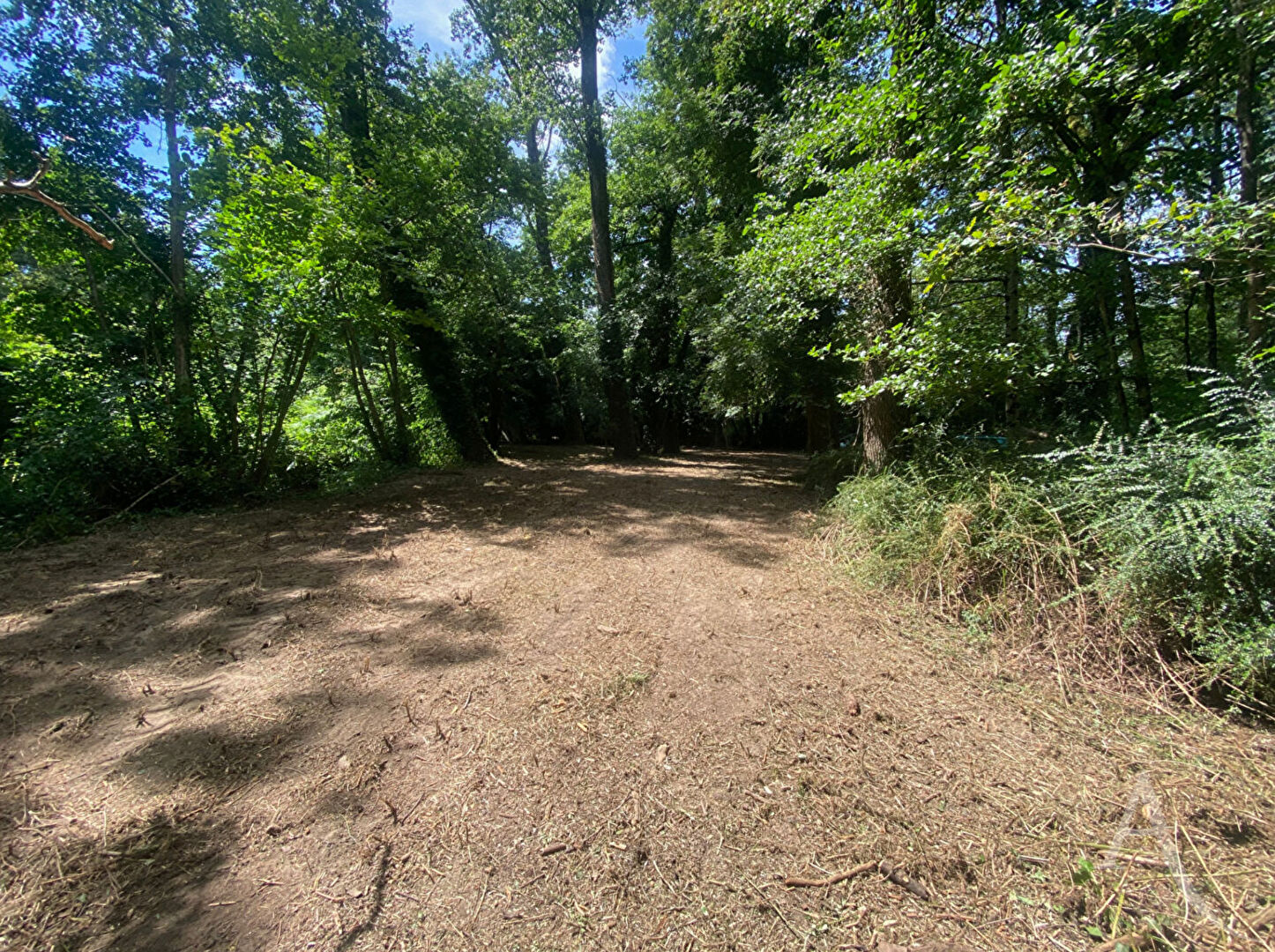 Terrain de loisirs MONTREVERD (85260) 3550.00 m²