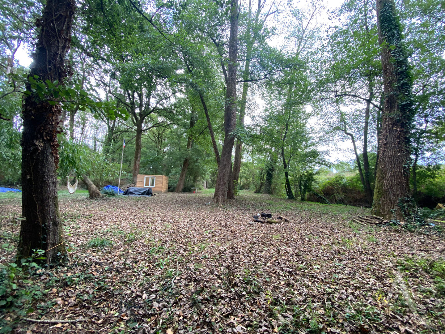 Terrain de loisirs MONTREVERD (85260) 3550.00 m&sup2;