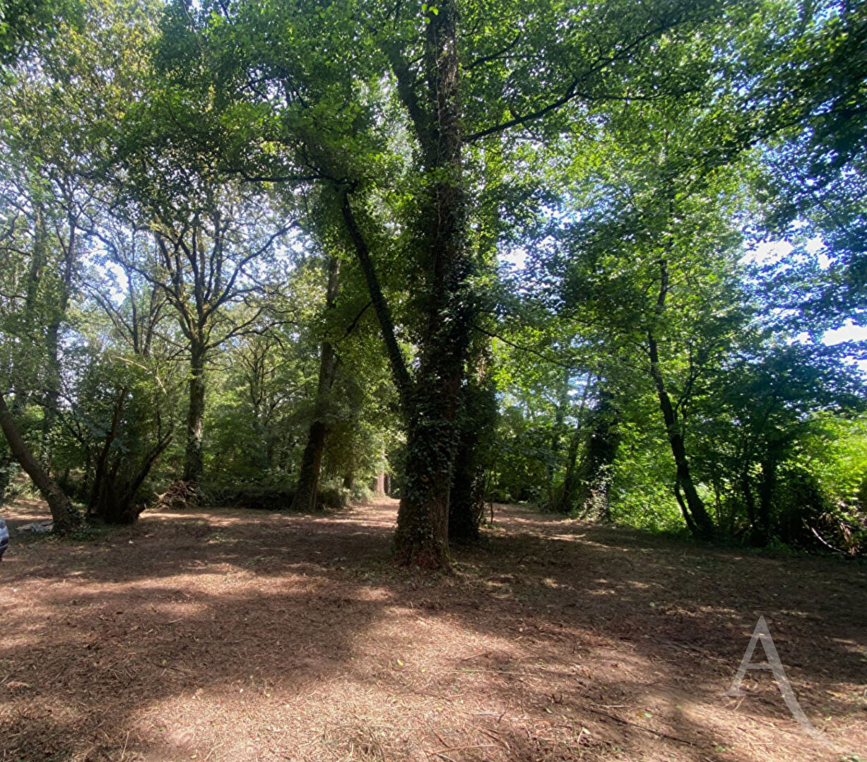 Terrain de loisirs MONTREVERD (85260) 3550.00 m&sup2;