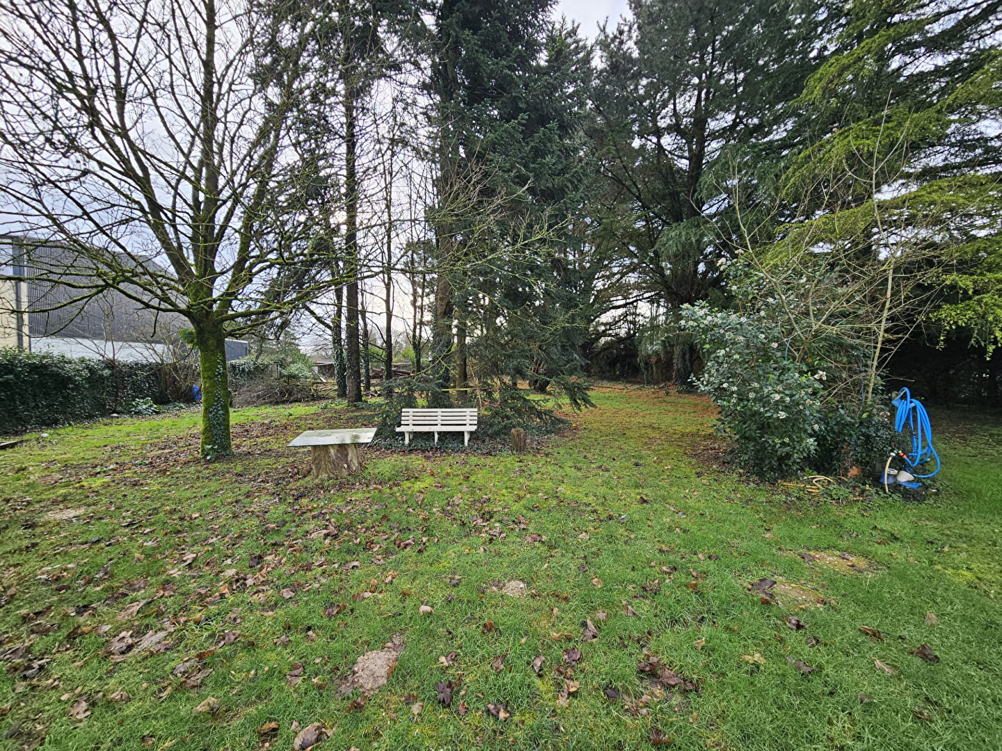 Terrain TOUVOIS (44650) 1600.00 m&sup2;