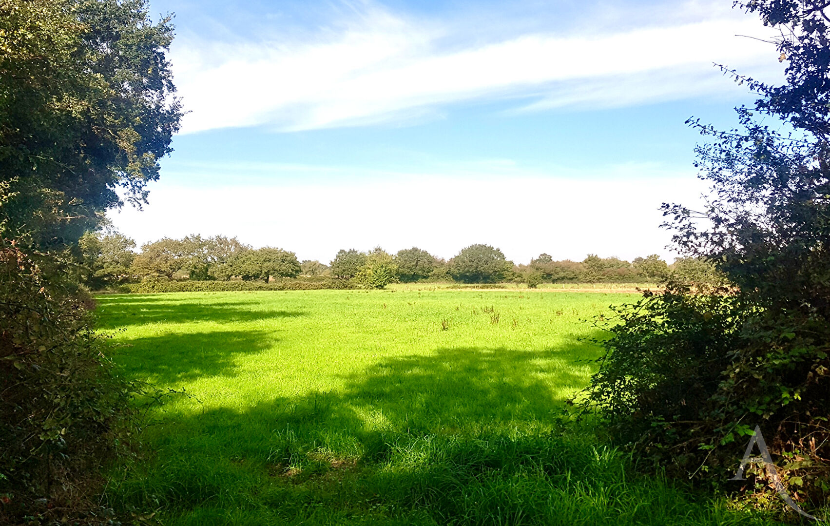 Terrain de loisirs MONTAIGU VENDEE (85600) 8100.00 m&sup2;