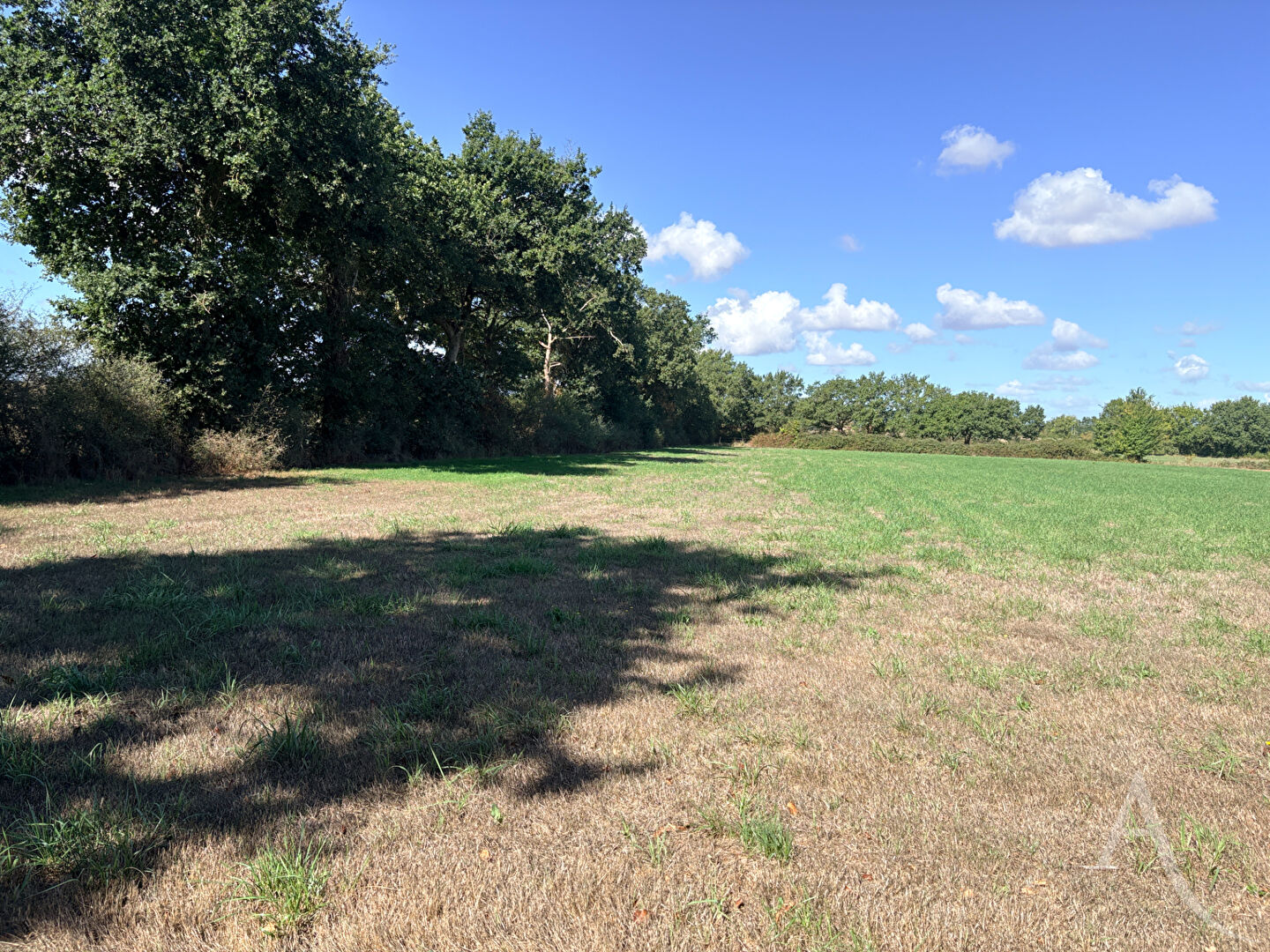 Vente terrain de loisirs, 8100.00m², Montaigu-Vendée · 16 000 €