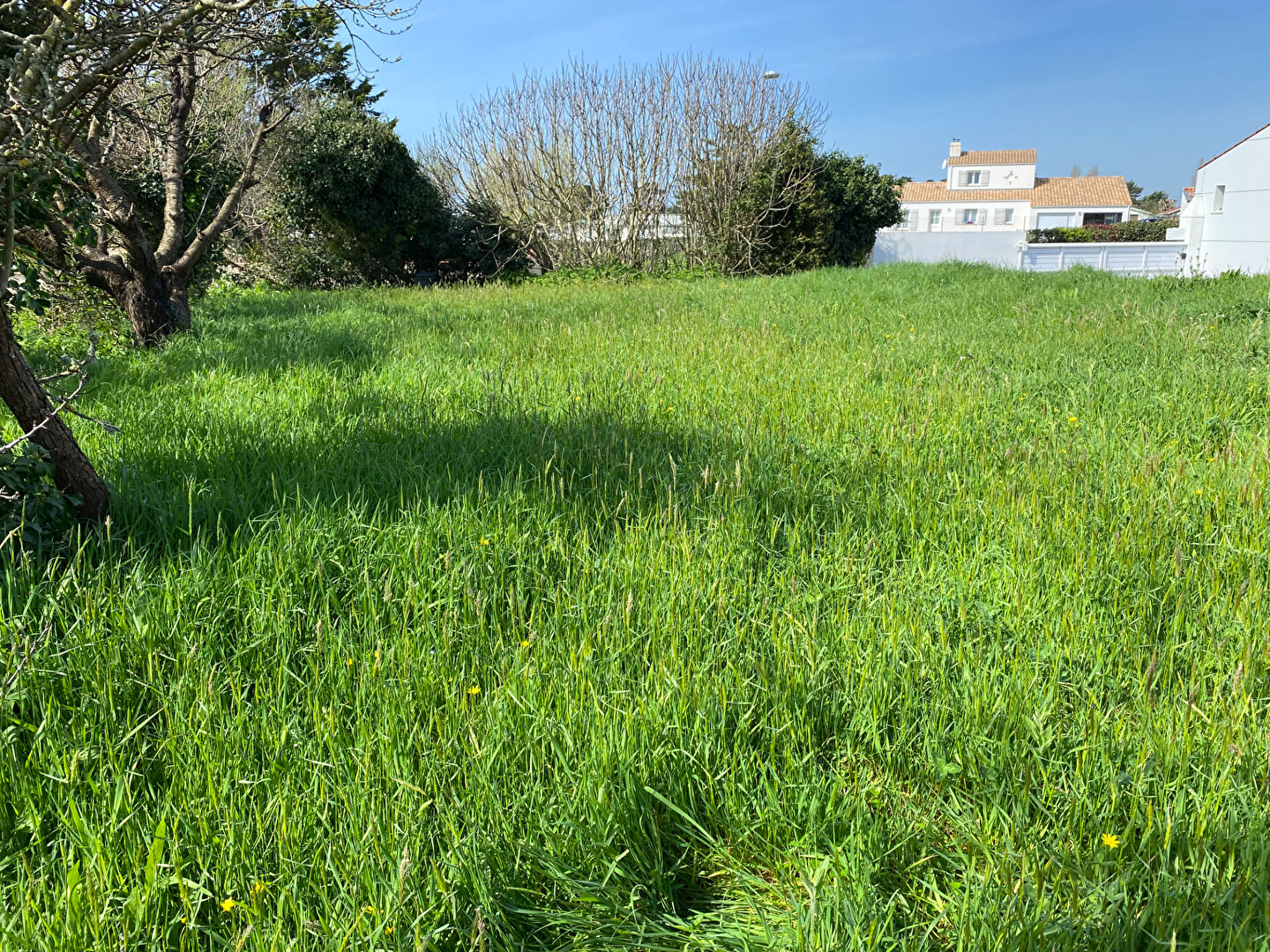 Terrain BREM SUR MER (85470) 403.00 m²