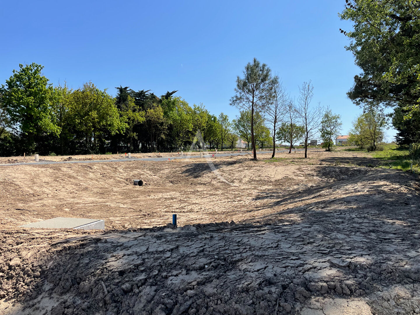 Terrain BRETIGNOLLES SUR MER (85470) 429.00 m²