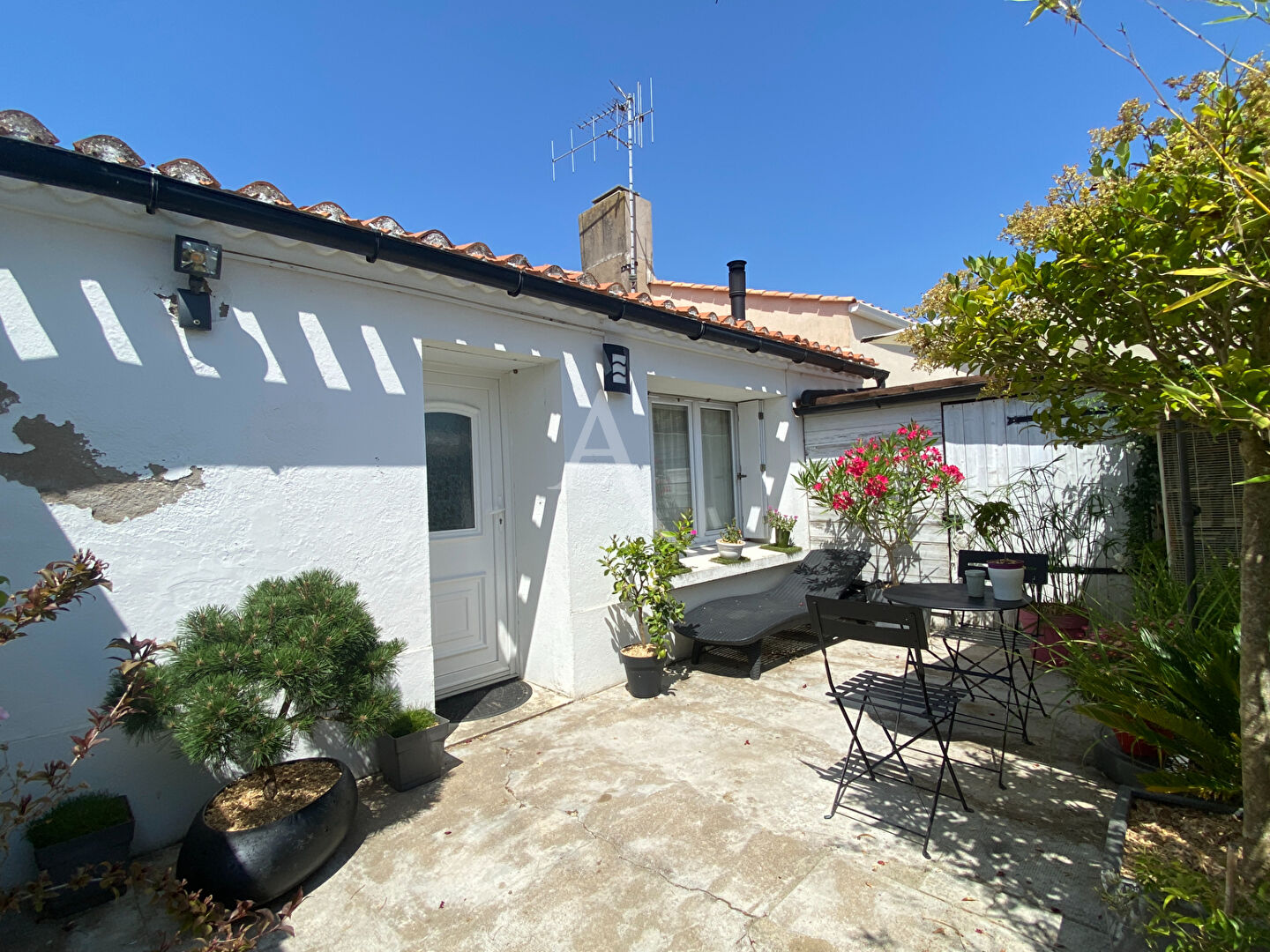 Maison SAINTE FOY (85150) 2 pièces 56.00 m²