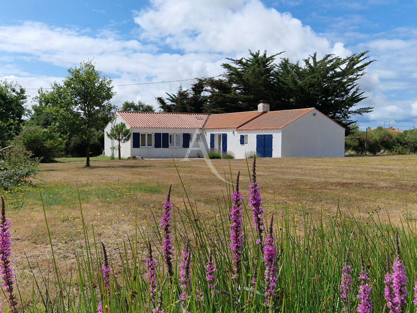 Maison BREM SUR MER (85470) 7 pièces 150.00 m²