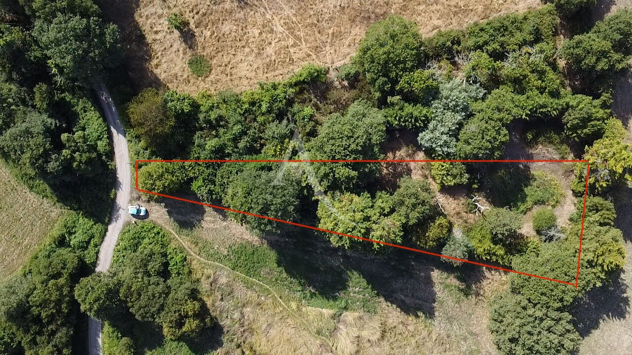 Terrain BREM SUR MER (85470) 1390.00 m²