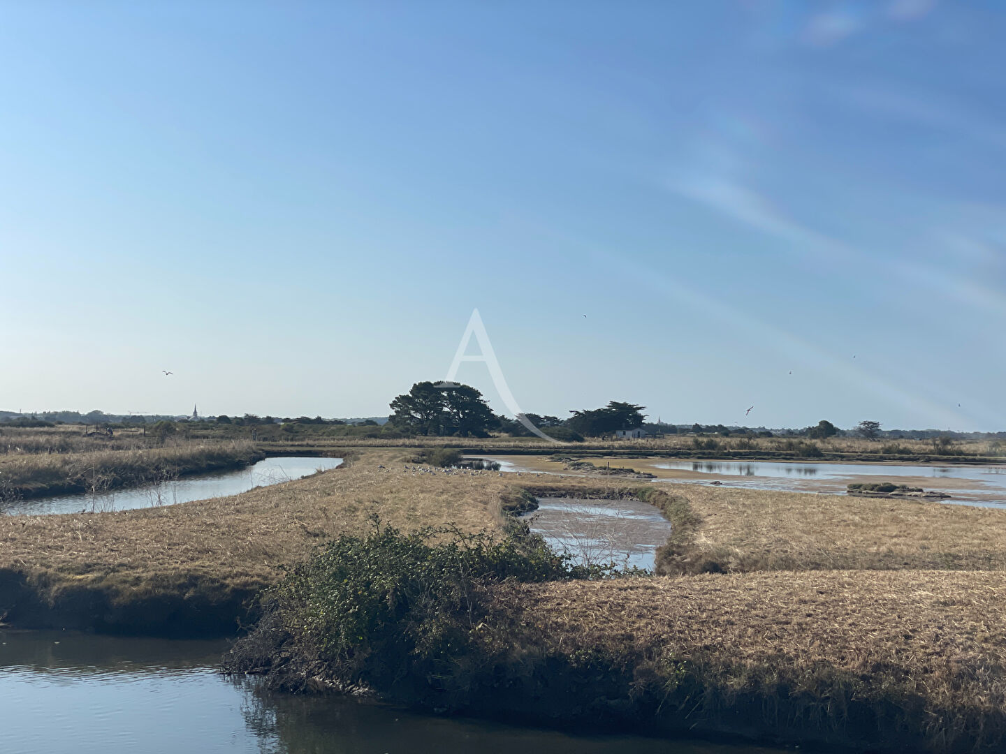 Terrain de loisirs LES SABLES D OLONNE (85100)