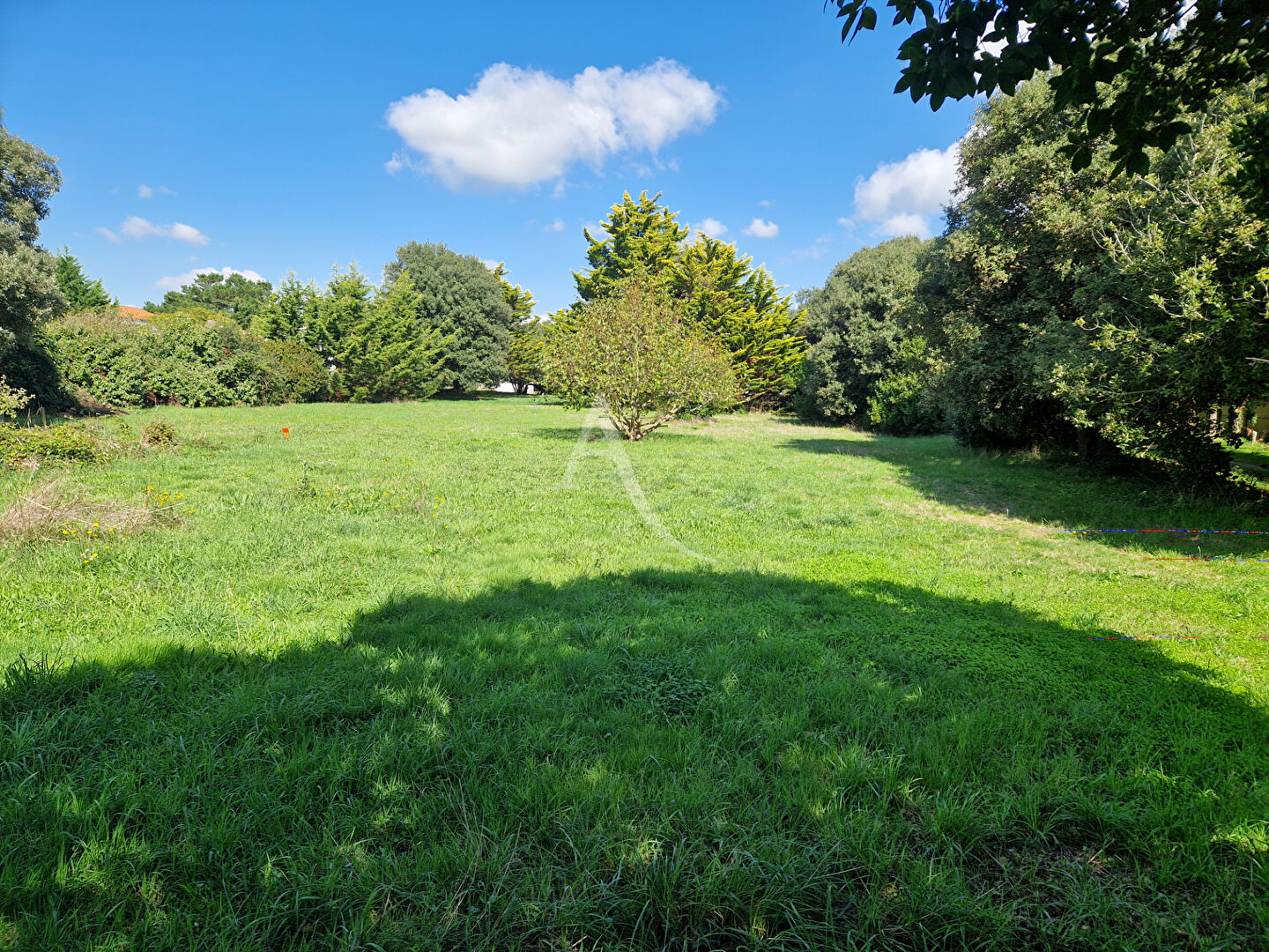 Terrain BREM SUR MER (85470) 544.00 m²