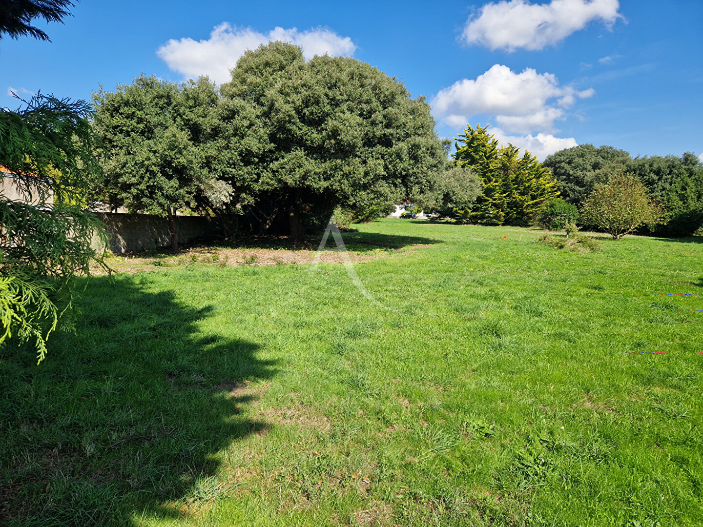 Terrain BREM SUR MER (85470) 463.00 m²