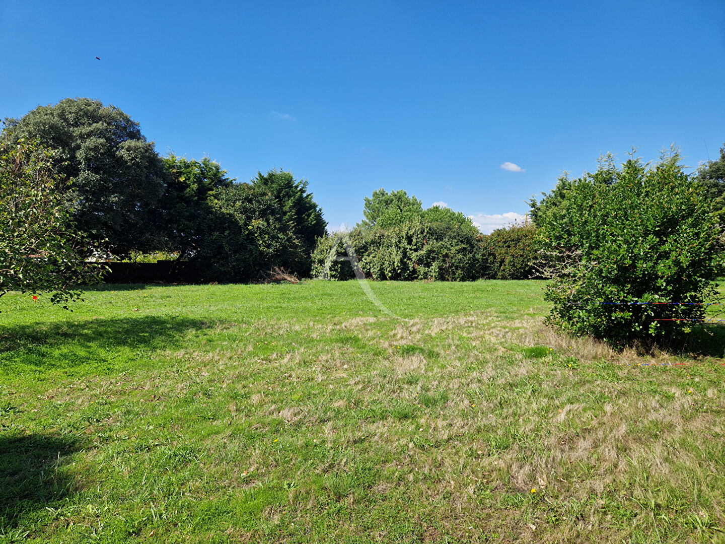Terrain BREM SUR MER (85470) 902.00 m²