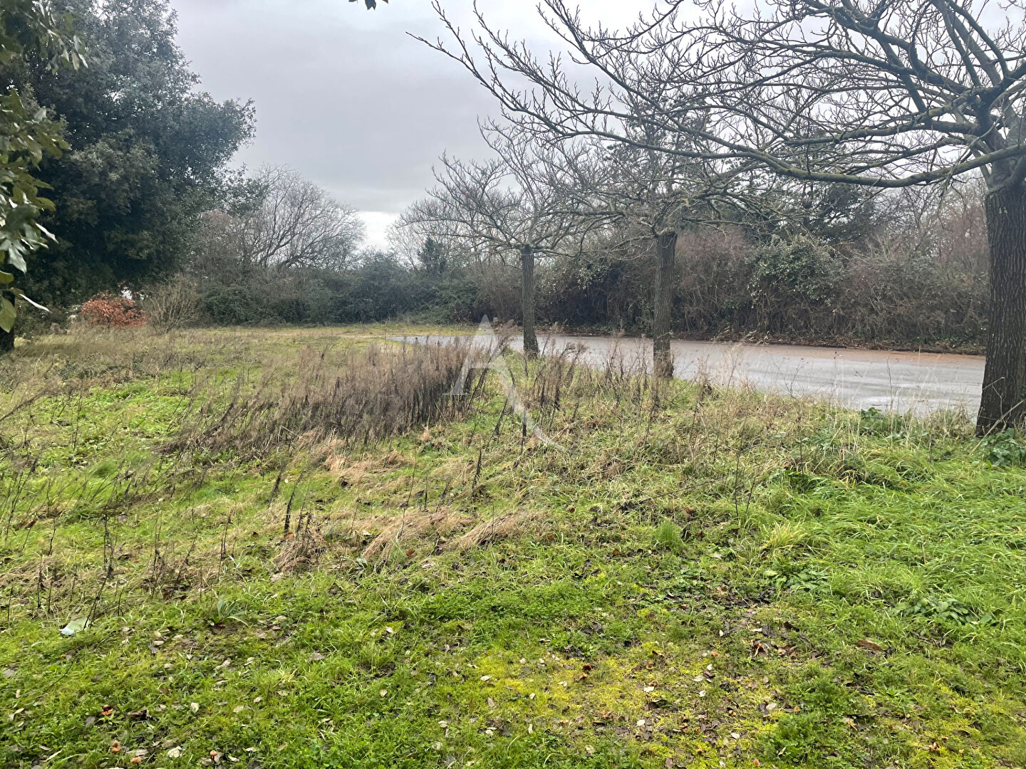 Terrain BRETIGNOLLES SUR MER (85470) 1367.00 m&sup2;