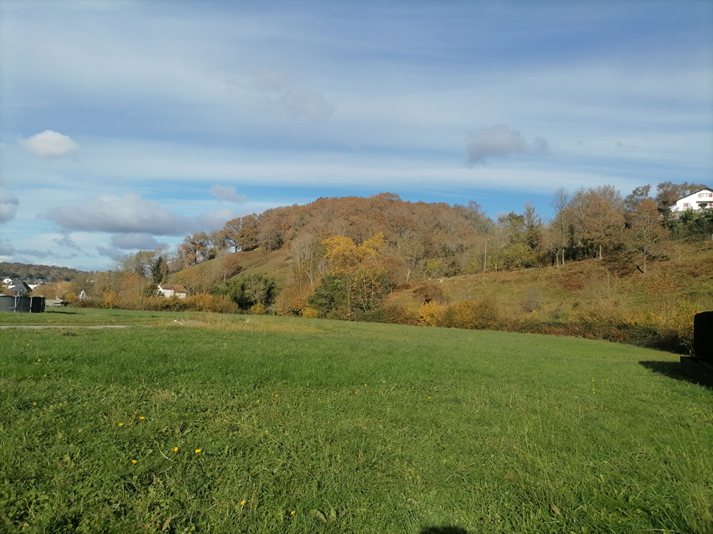 Terrain MAULEON LICHARRE (64130) 736.00 m²