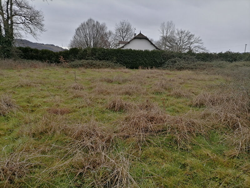 Terrain ESPES UNDUREIN (64130) 2060.00 m²
