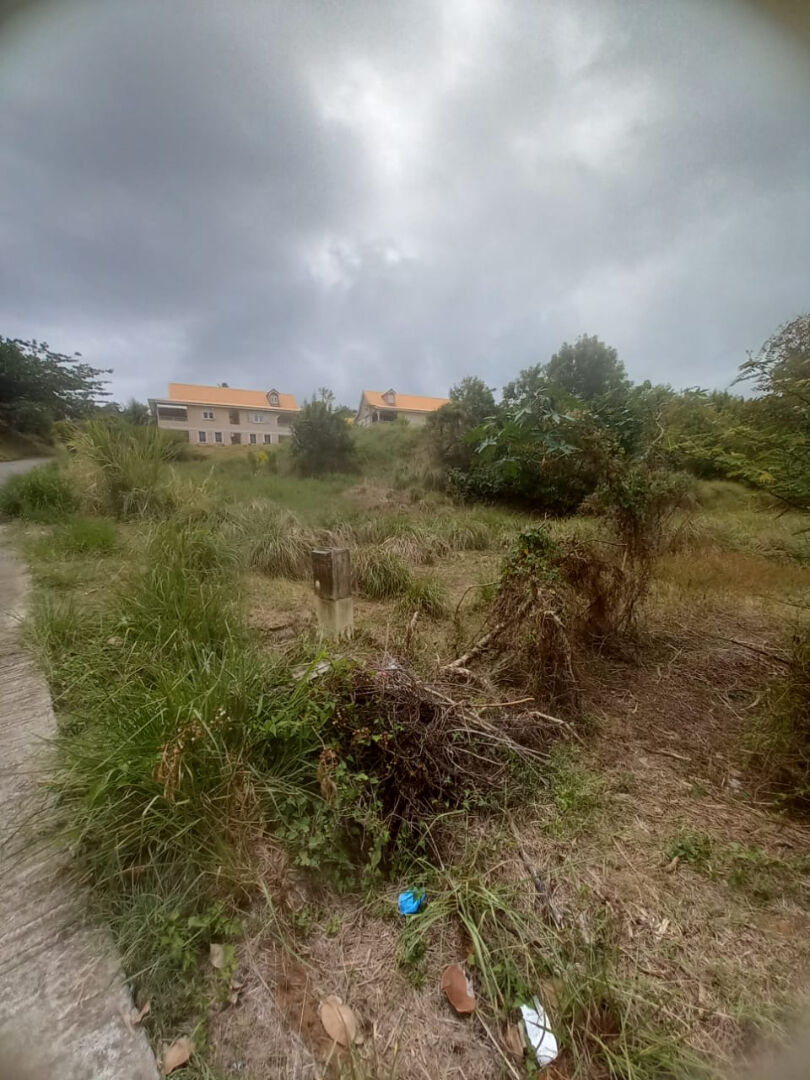 Terrain LE MARIGOT (97225) 1673.00 m²