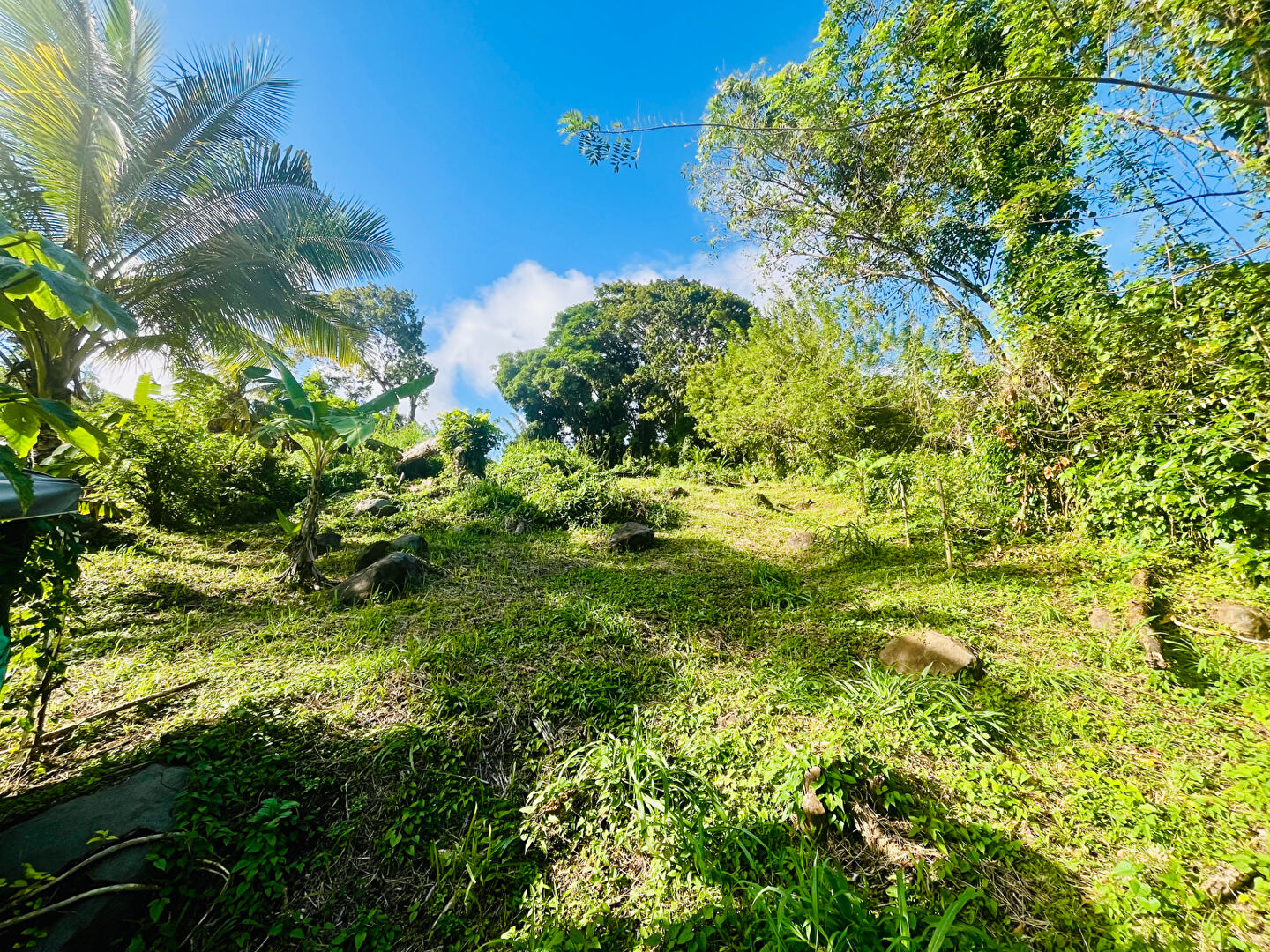 Terrain SAINTE LUCE (97228) 864.00 m²