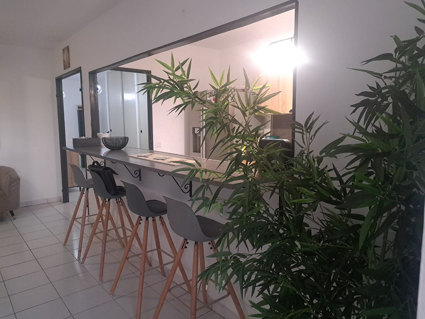 Appartement SCHOELCHER (97233) 4 pièces 98.53 m²