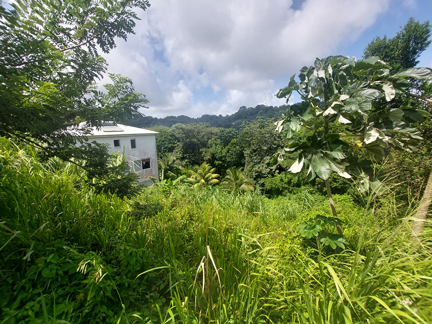Terrain FORT DE FRANCE (97200) 758.00 m²