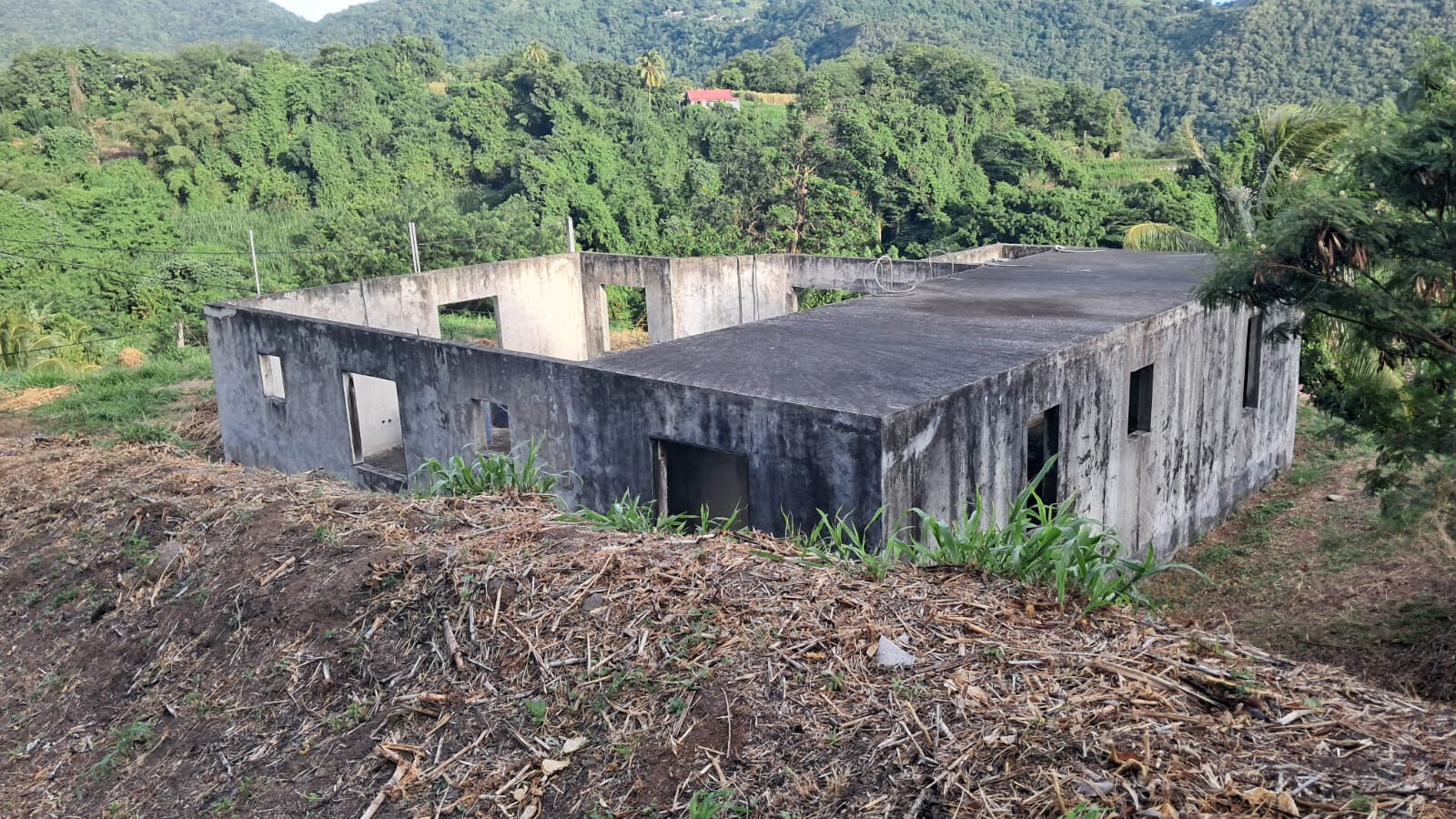 Terrain LE MORNE VERT (97226) 1587.00 m²