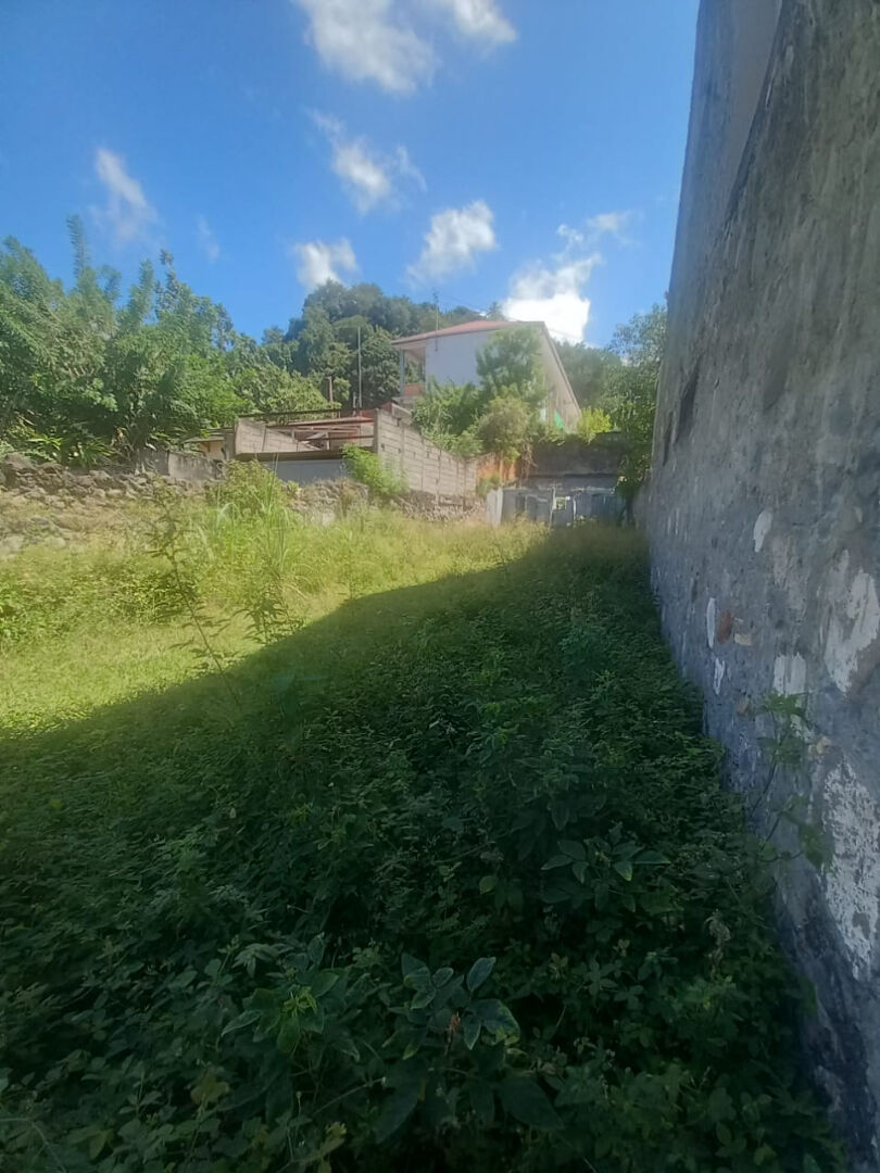 Terrain SAINT PIERRE (97250) 102.00 m²