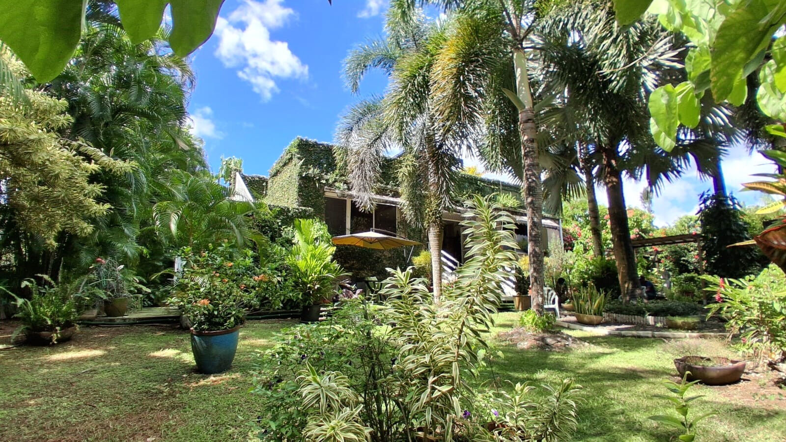 Maison LE LAMENTIN (97232) 4 pièces 170.00 m²