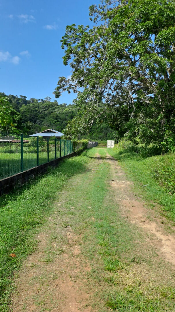 Terrain REMIRE MONTJOLY (97354) 7351.00 m&sup2;