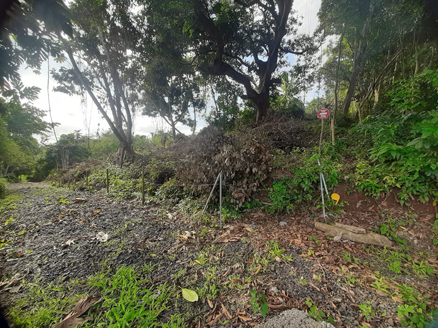 Terrain DUCOS (97224) 1082.00 m&sup2;