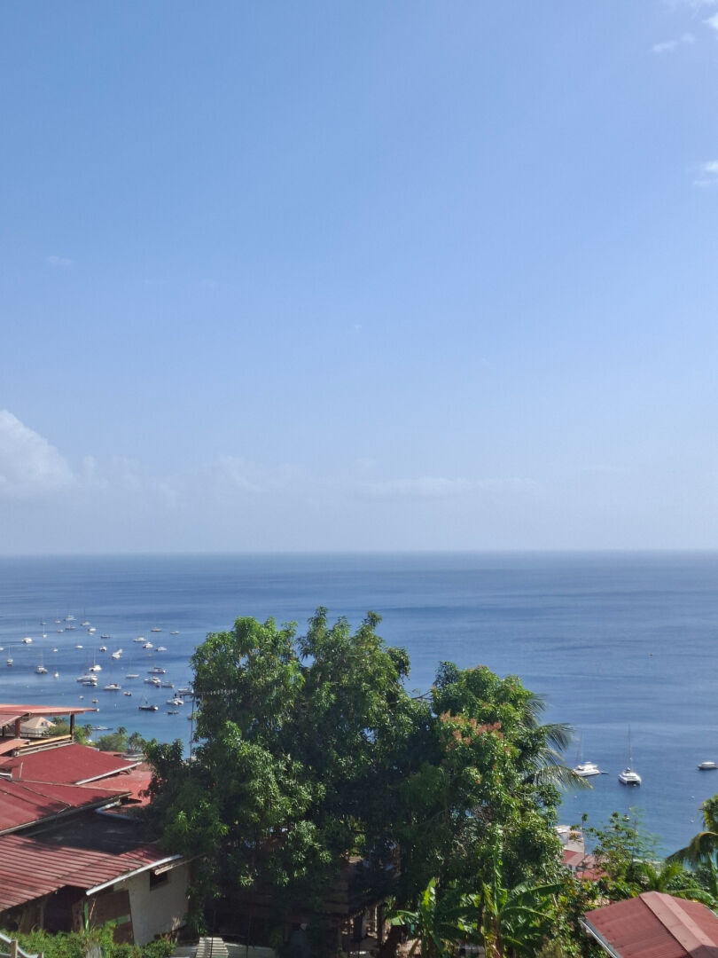 Terrain SAINT PIERRE (97410) 385.00 m&sup2;