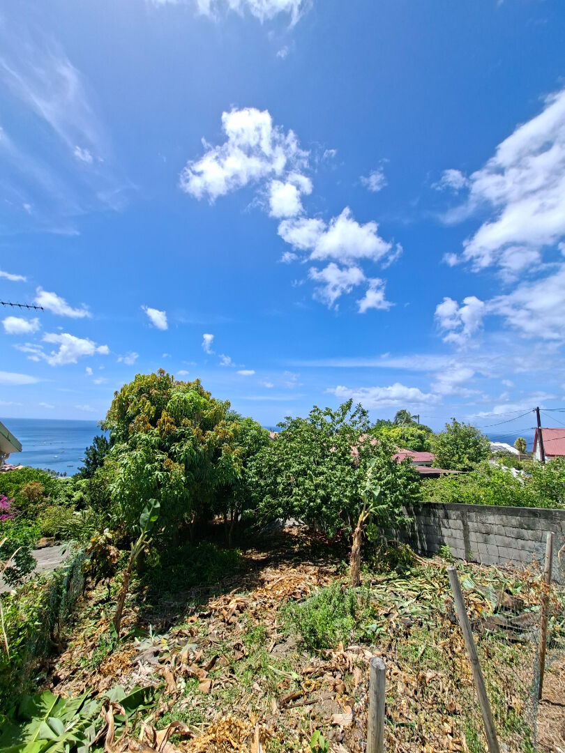 Terrain SAINT PIERRE (97250) 385.00 m&sup2;