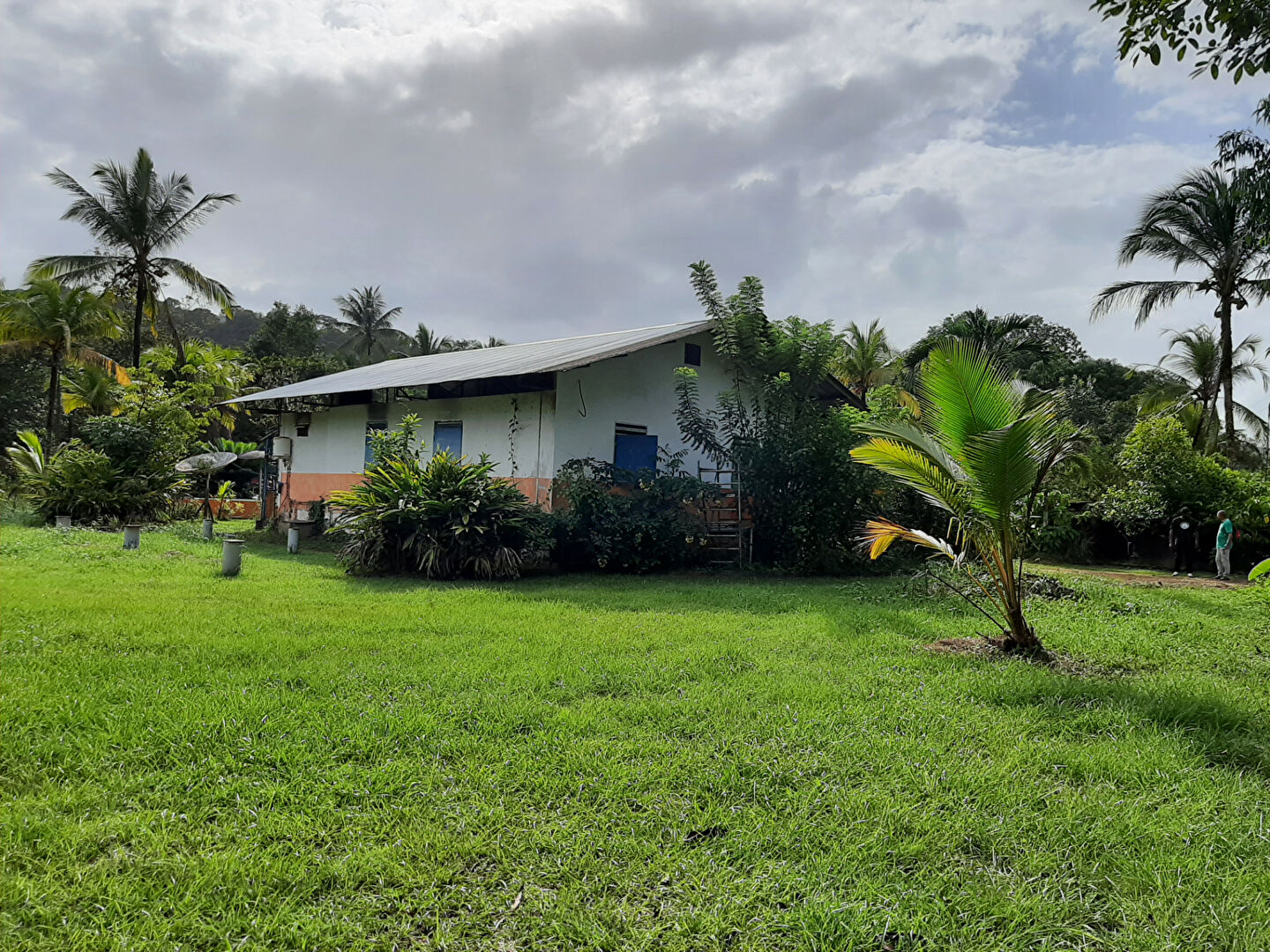 Terrain ROURA (97311) 9913.00 m&sup2;