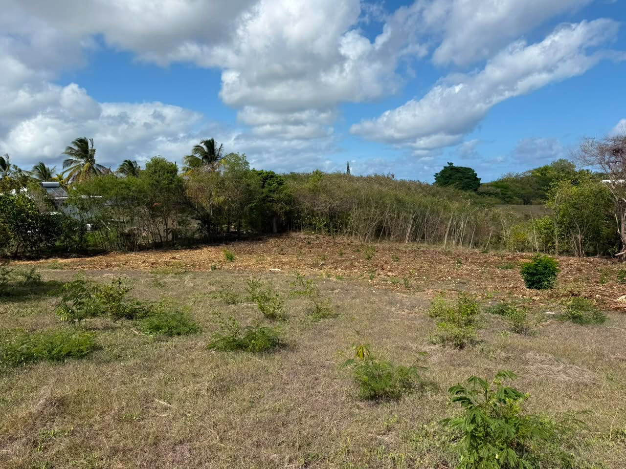 Terrain SAINTE ANNE (97180) 1000.00 m&sup2;