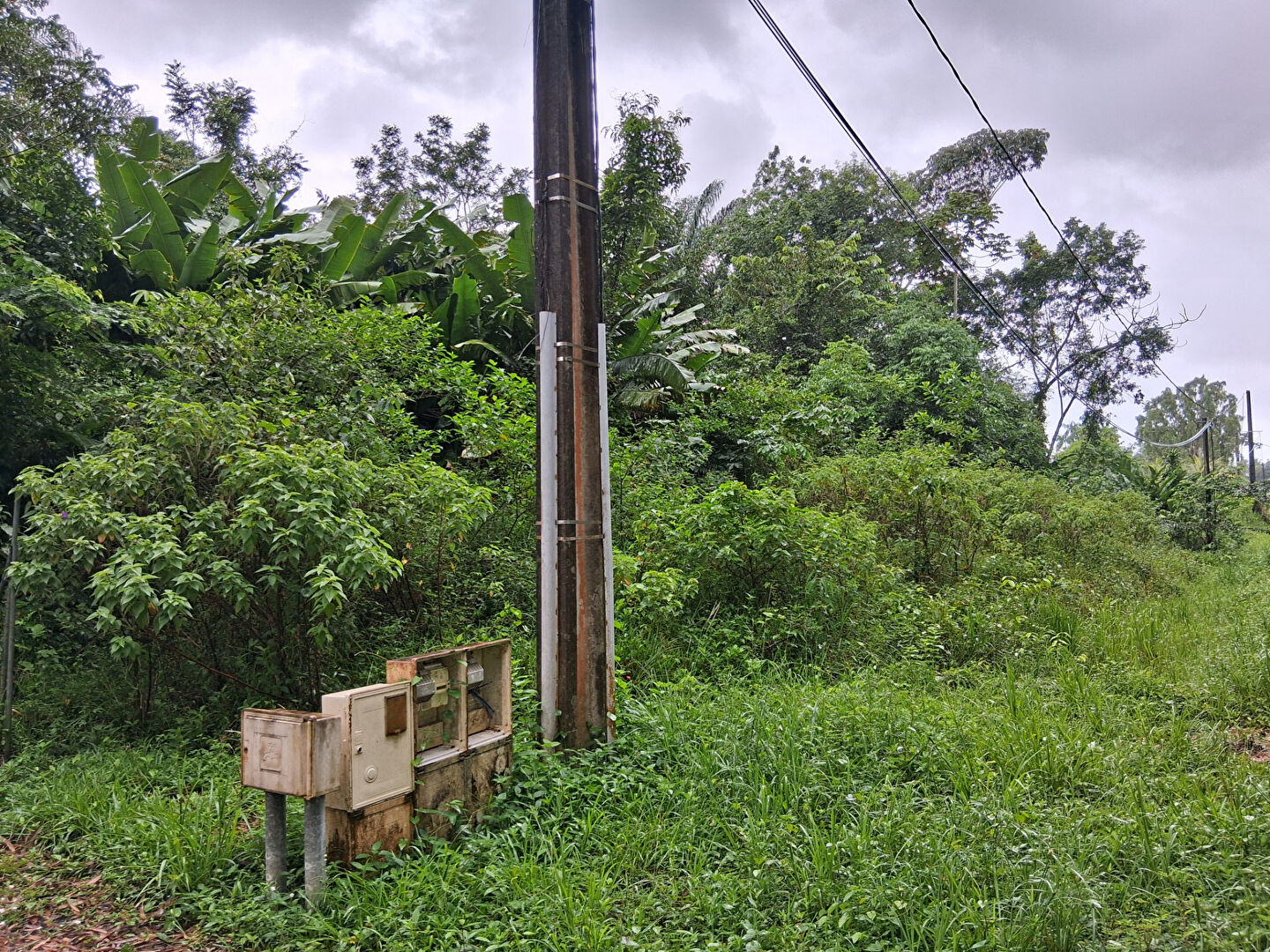 Terrain MONTSINERY TONNEGRANDE (97356) 10000.00 m&sup2;
